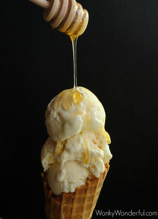 Honey Ricotta Ice Cream | Homemade Ice Cream Recipes Everybody Can Enjoy