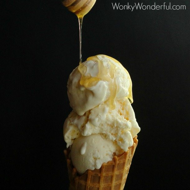 Honey Ricotta Ice Cream Wonkywonderful 