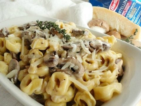 Mushroom Cream Sauce Recipe With Tortellini Wonkywonderful