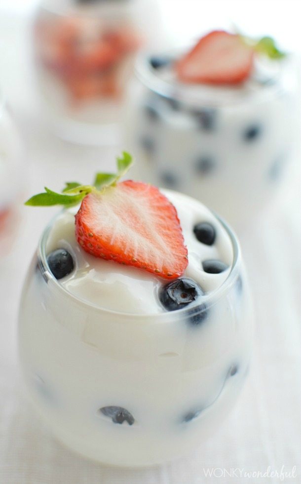 Vanilla Pudding Dairy Free Dessert Recipe - WonkyWonderful