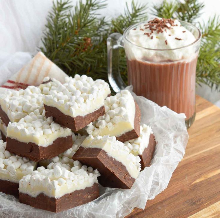 This Hot Chocolate Fudge Recipe bring two of your favorite winter desserts together. Hot cocoa and rich fudge topped with marshmallows! The perfect holiday treat.