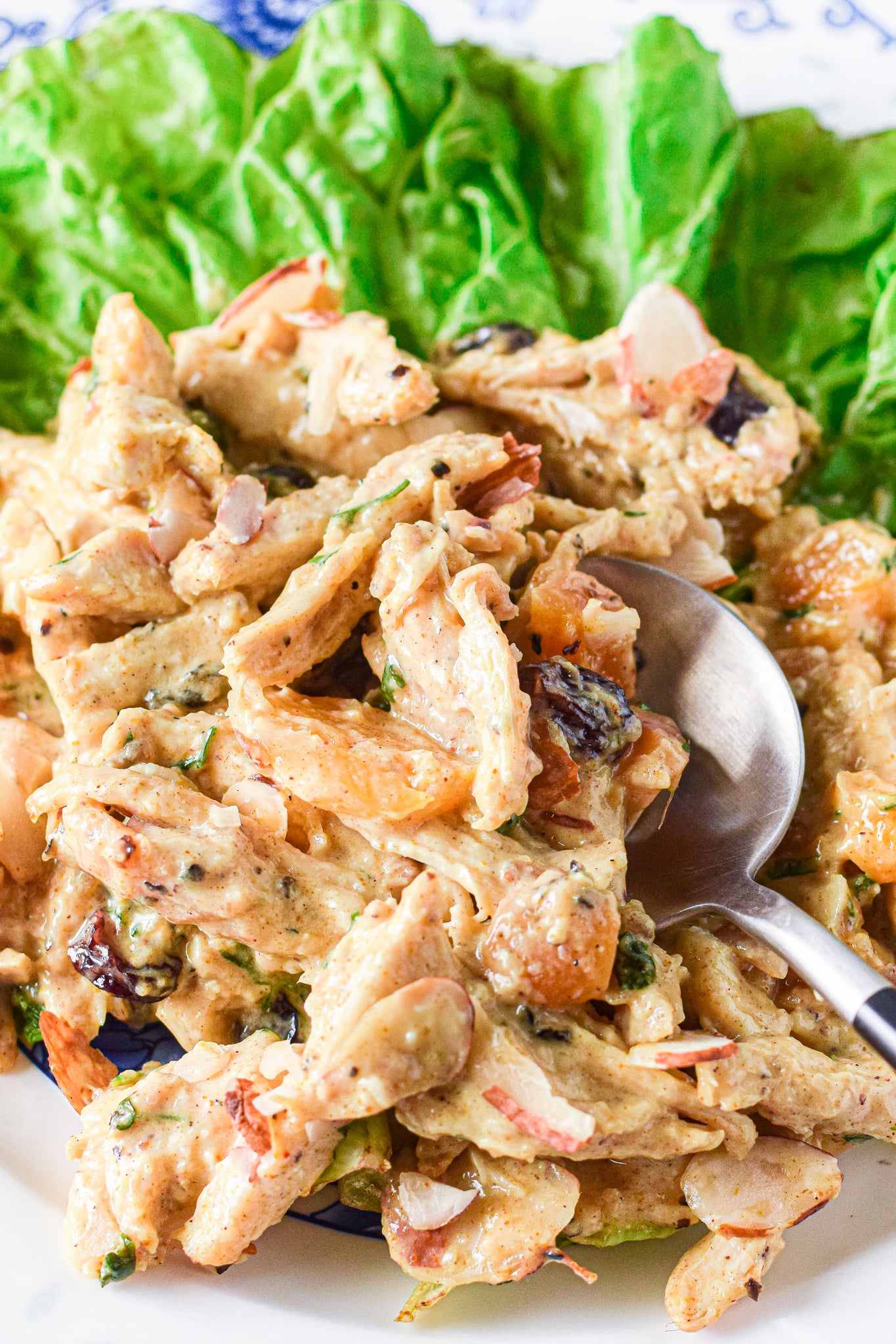 prepared chicken salad on plate with spoon