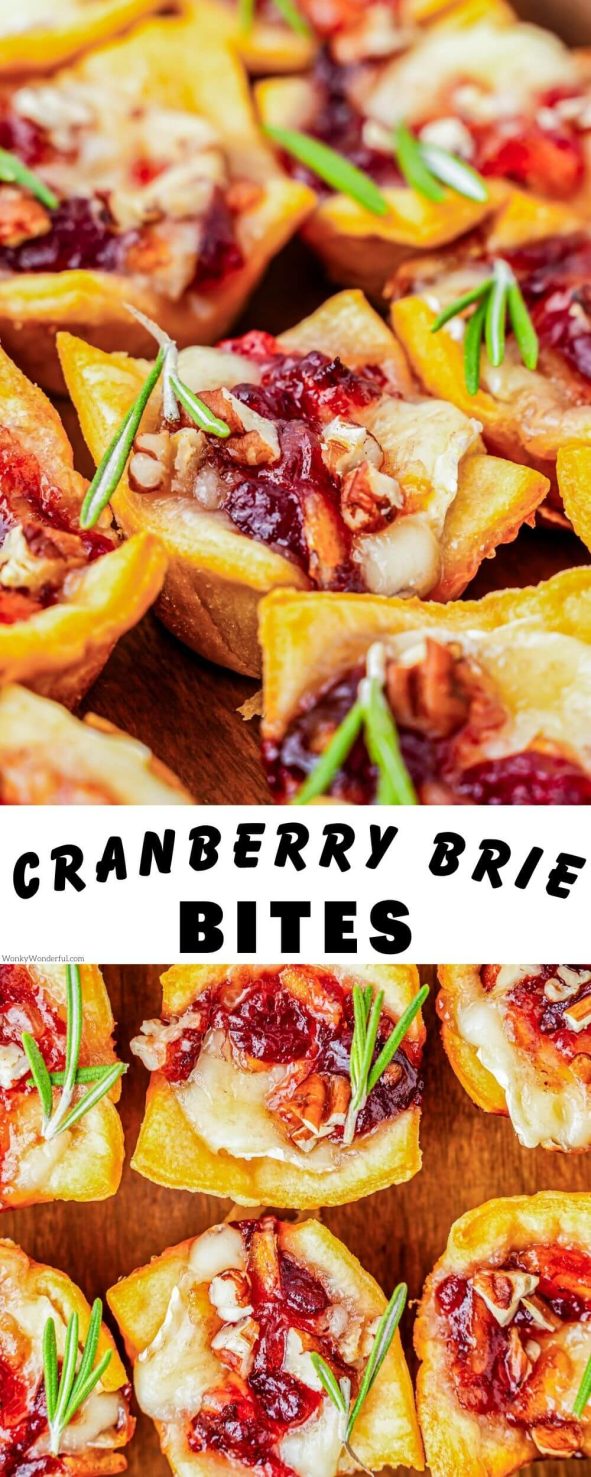 cranberry brie bites pinnable image with title text