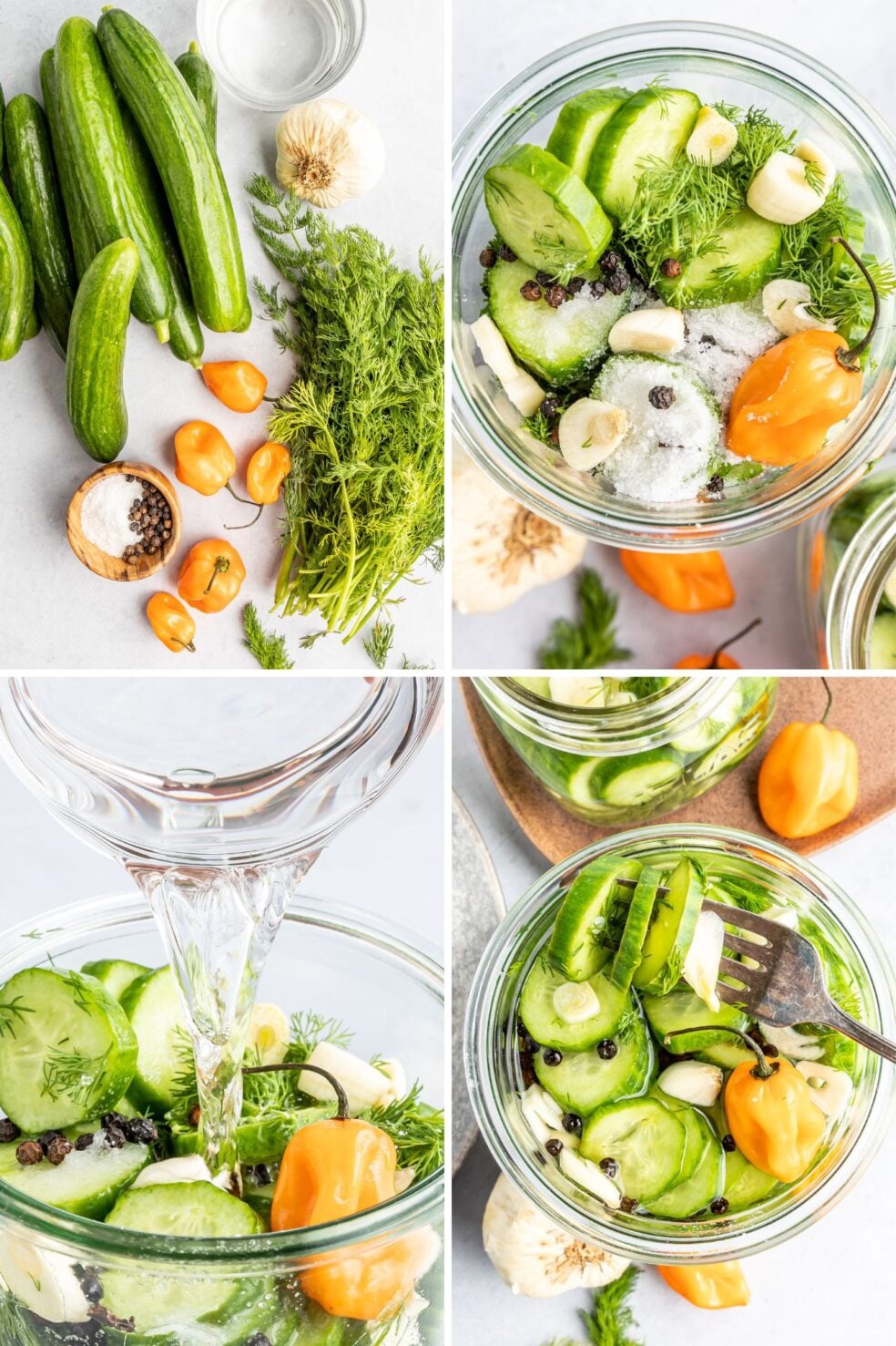 quick pickles process photos